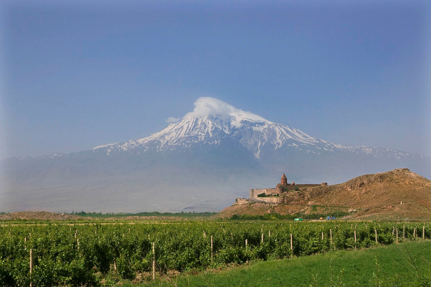Weine aus Ararat